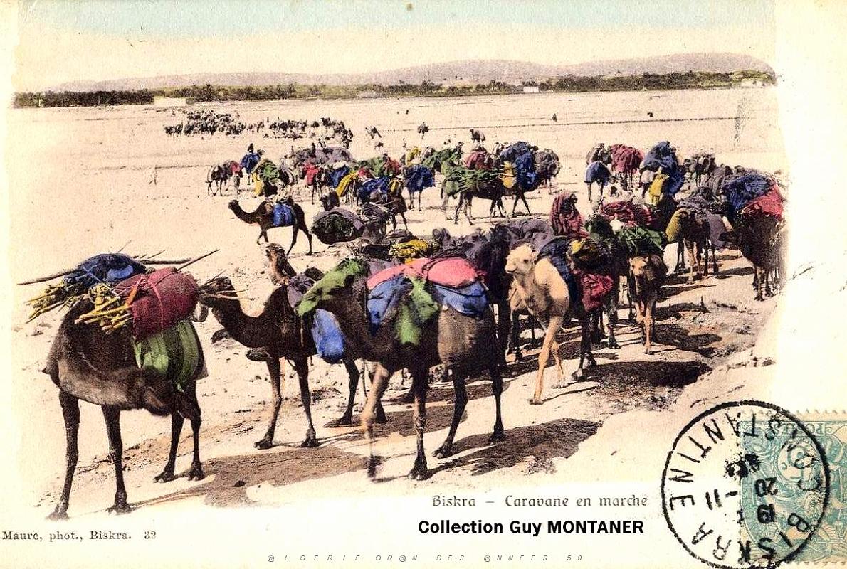 Biskra 03.jpg